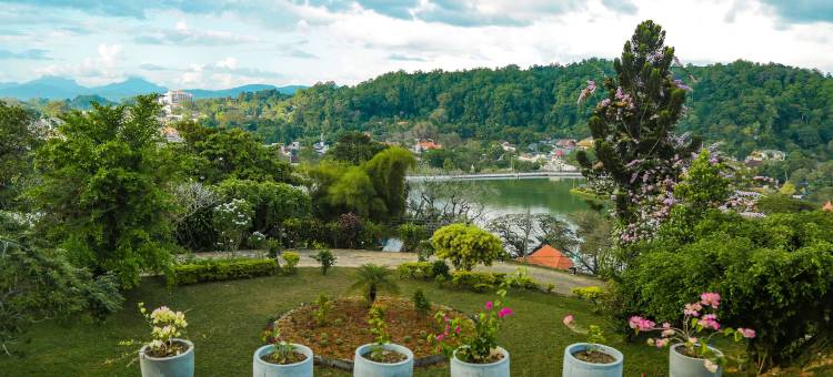 古堡山居·七天使(Castle Hill Bungalow by Seven Angels)图片