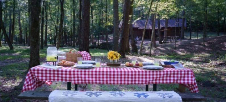 豆沙溪木屋(Bean Creek Cabins)图片
