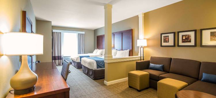 舒适套房酒店(Comfort Suites - Dodge City)图片