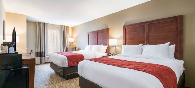 哈里斯堡赫尔希西舒适套房酒店(Comfort Inn & Suites Harrisburg - Hershey West)图片