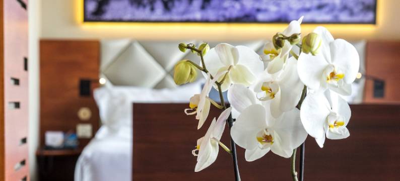 鲁斯岛邦多塔拉苏尔 Spa 酒店(Thalazur Bandol Ile Rousse - Hôtel & Spa)图片