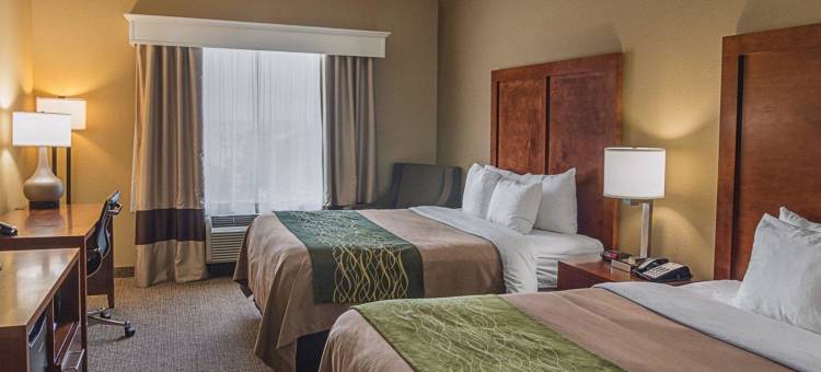 南米德兰I-20舒适酒店(Comfort Inn Midland South I-20)图片