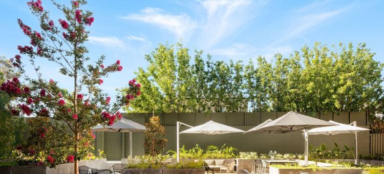 玛杰斯蒂克套房酒店(Majestic M Suites)图片