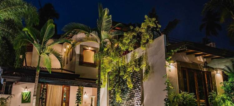 多米尼库住宿加早餐旅馆(Villa Dominikku)图片