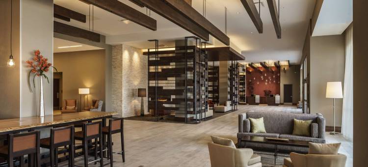 丹佛安舒兹医学园区凯悦酒店(Hyatt Regency Denver Anschutz Medical Campus)图片