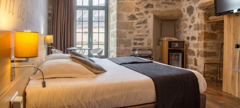 特伦娜酒店(Charme et Caractère le Turenne)图片