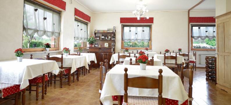 小熊布鲁诺(Piccolo Orso Bruno)图片