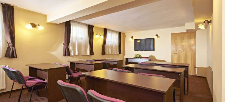 安姆比恩特膳食公寓酒店(Pensiunea Ambient)图片