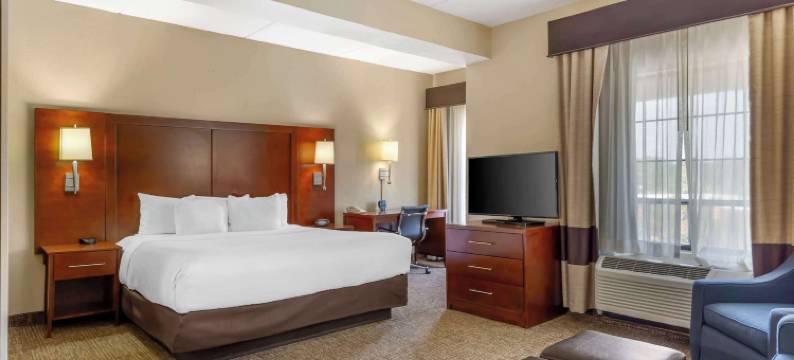 摄政公园舒适套房酒店(Comfort Suites Regency Park)图片