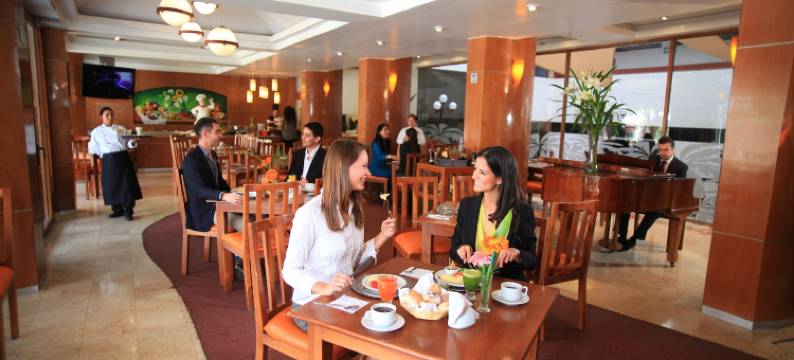 希洛斯酒店(Hotel Ciros)图片