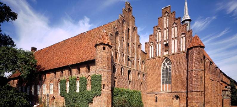 瑟勒海德柯尼格酒店(Heidekönig Hotel Celle)图片