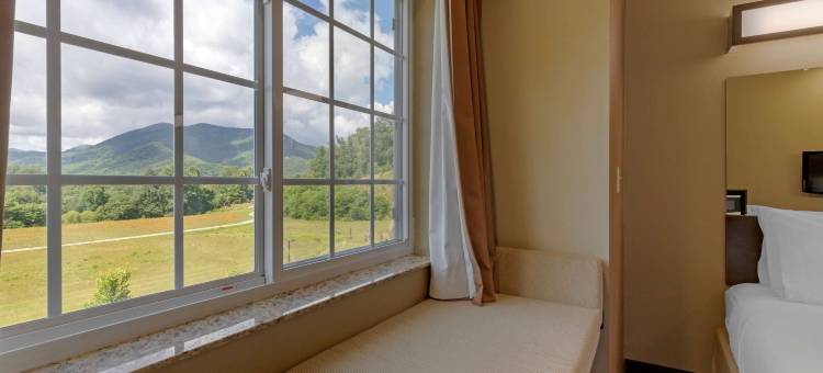 西尔瓦迪尔斯伯勒区麦客达套房酒店(Microtel Inn & Suites by Wyndham Sylva Dillsboro Area)图片