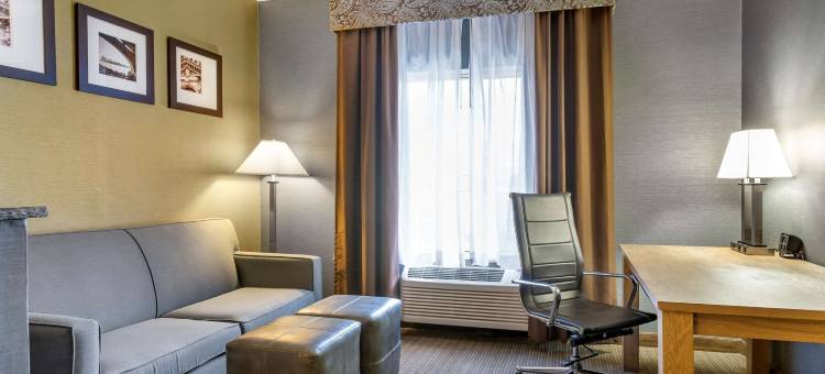 底特律绍斯盖特舒适套房(Comfort Suites Southgate-Detroit)图片