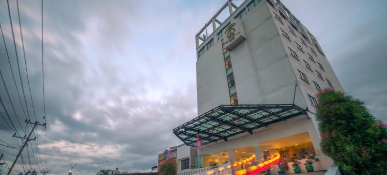 巨港半岛酒店(Sintesa Peninsula Hotel Palembang)图片