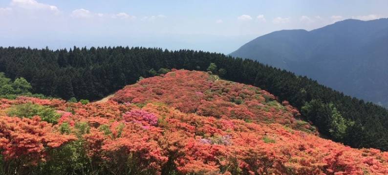 佑情趣酒店-限成人(Hotel Woo (Adults Only))图片