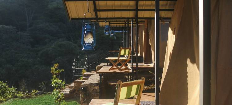 野生露营纳克尔斯(Wild Glamping Knuckles - Thema Collection)图片