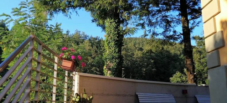 米尼耶拉酒店(Ostello la Miniera)图片