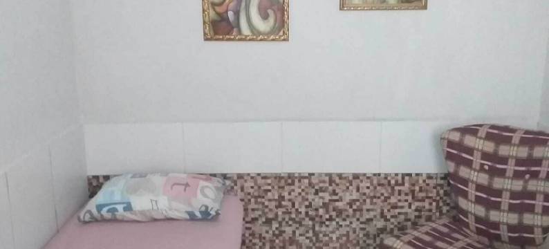 席尔瓦林肯卡洛斯旅馆(Meu Quarto No Rio de Janeiro)图片