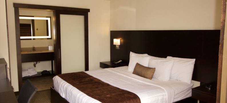 鹅卵石酒店 - 锡拉丘兹寄宿者套房酒店(Boarders Inn & Suites by Cobblestone Hotels - Syracuse)图片