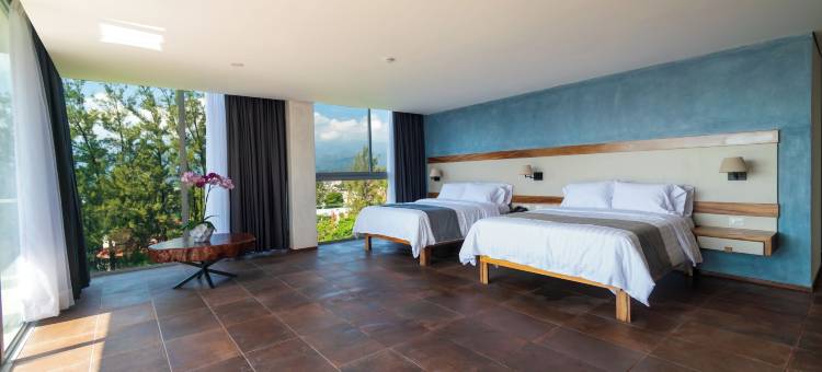 巴尔孔德尔帕尔克酒店(Hotel Balcón del Parque)图片