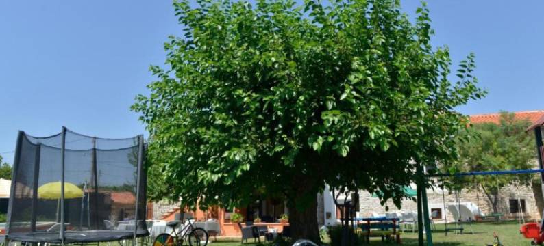 难忘住宿的正宗伊斯特里亚客房(Authentic Istrian Holiday Home for Unforgettable Stays)图片