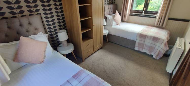 鸟类农场(Birds Farm)图片