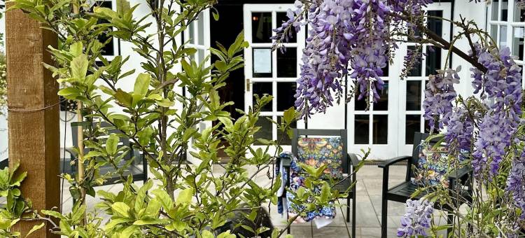 科雷亚酒店(The Ley Arms)图片