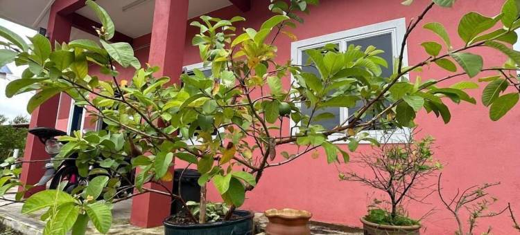 马哈萨佩纳里克民宿(Mahasa Penarik Homestay)图片