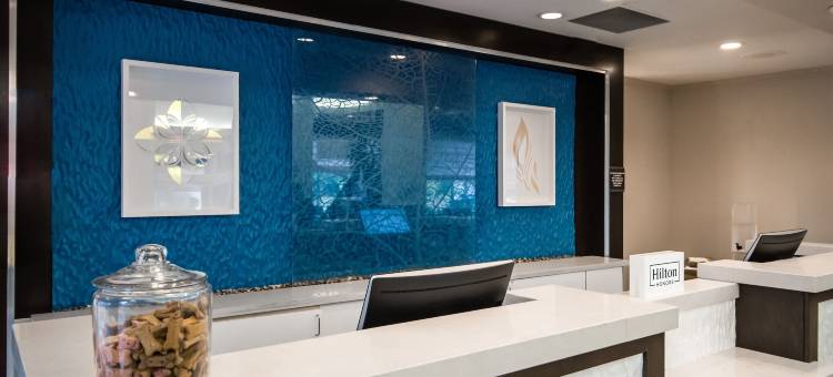 哥伦布都柏林希尔顿花园酒店(Hilton Garden Inn Columbus/Dublin)图片