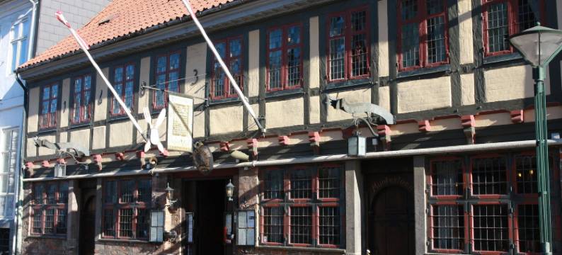 夜莺公寓城市酒店(City Hotel Nattergalen Apartments)图片