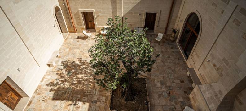 托尔林齐酒庄 - 葡萄酒驿站(Masseria Torleanzi Wine Relais)图片