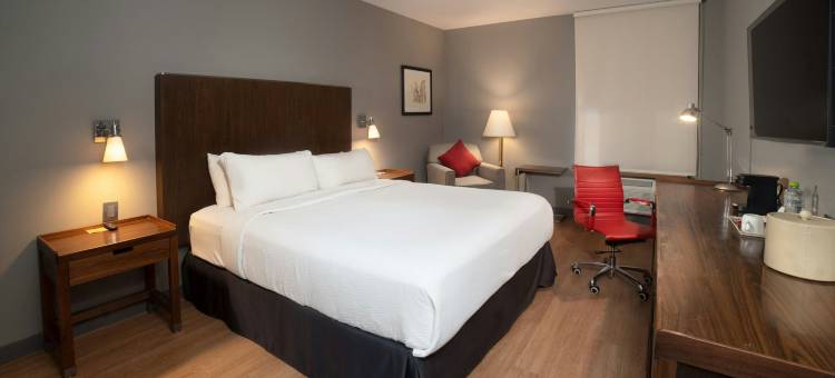 萨尔蒂洛福朋喜来登酒店(Four Points by Sheraton Saltillo)图片