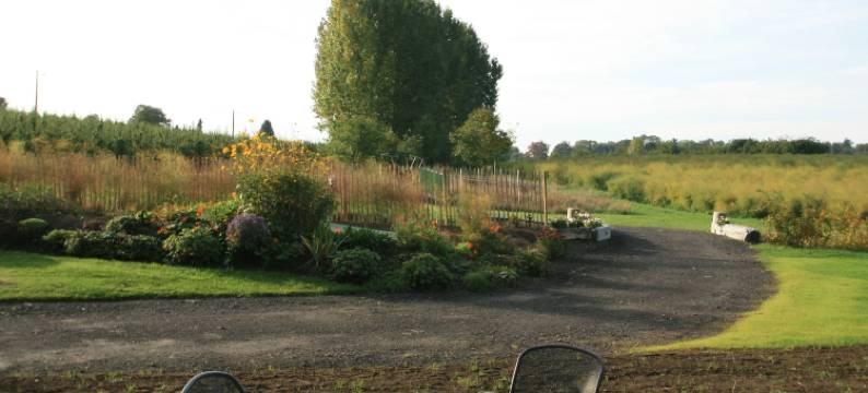 卡梅丽杰克住宿加早餐旅馆(B&B Kamerijck)图片