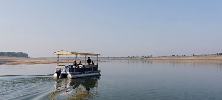 拉吉尼瓦思宫酒店(Raj Niwas Palace)图片