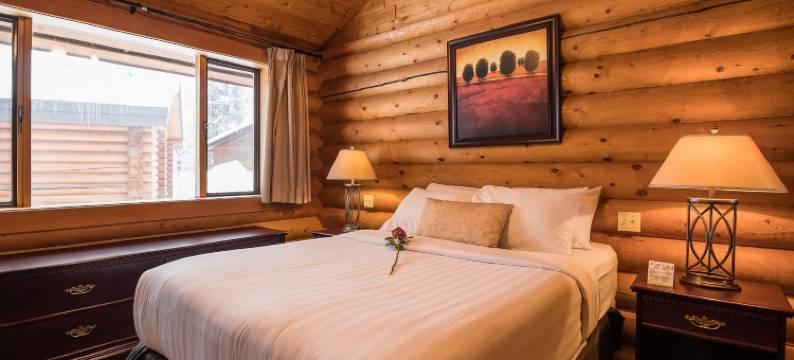 卡斯尔山小屋酒店(Castle Mountain Chalets)图片