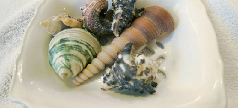 巴比坎楼酒店(Barbican House)图片