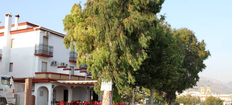 普尔塔纳扎里酒店(Hotel Puerta Nazarí)图片