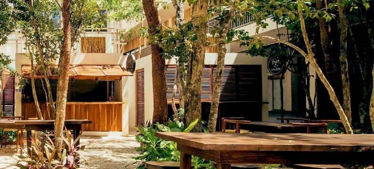 希尔顿图兰Motto酒店(Motto by Hilton Tulum)图片