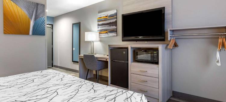 西阿什利旅馆(West Ashley Inn)图片