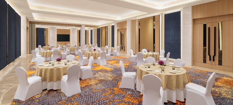 苏拉特市中心希尔顿花园酒店(Hilton Garden Inn Surat City Centre)图片