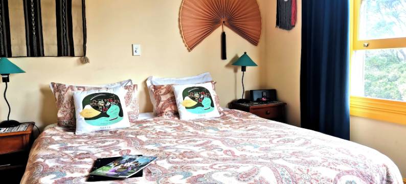 大庞森比艺术酒店民宿(The Great Ponsonby Arthotel)图片