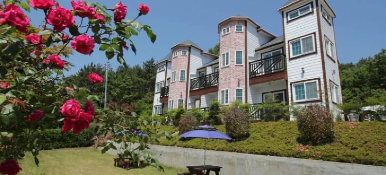 贝尔扎里旅馆(Beljari Pension)图片