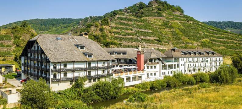 梅斯霍斯梅酒店(May Hotel Mayschoß)图片