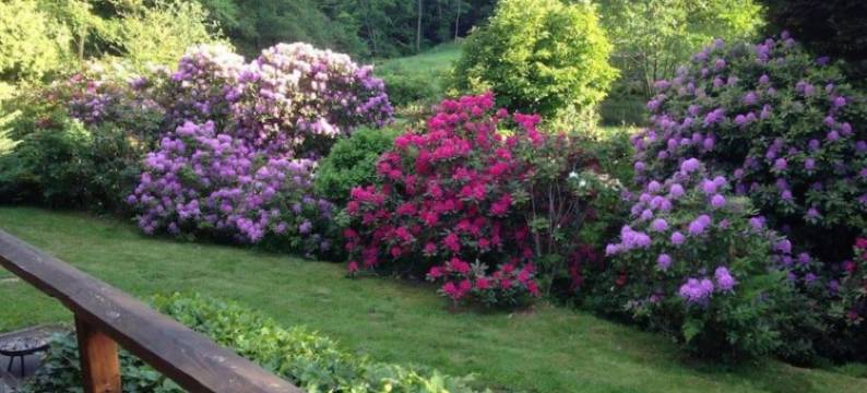 Romantic Stay in Saint-Quirin图片