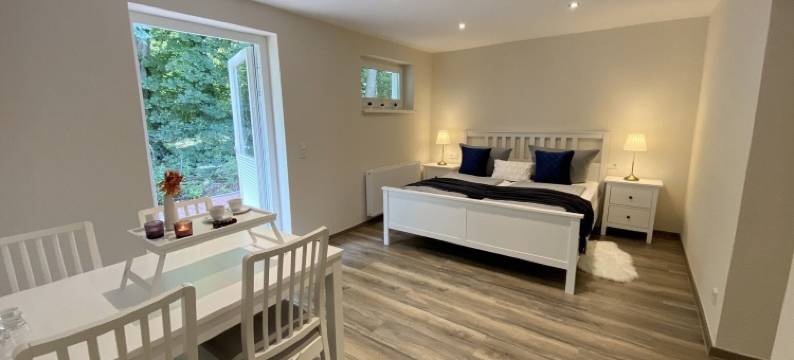 伊尔森堡自然度假村Regio酒店(Regiohotel Naturresort Ilsenburg)图片