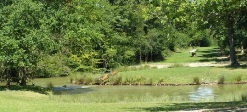 Holiday Home in Chilleurs near Château图片