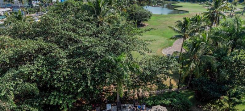 波多黎各瓦拉塔高尔夫海滨舒适酒店(Comfort Inn Puerto Vallarta Golfside & Marina)图片