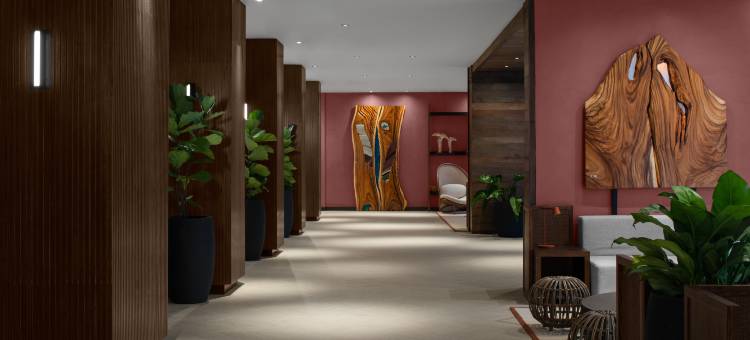 希尔顿格调精选-ROK金斯敦酒店(Rok Hotel Kingston, Tapestry Collection by Hilton)图片