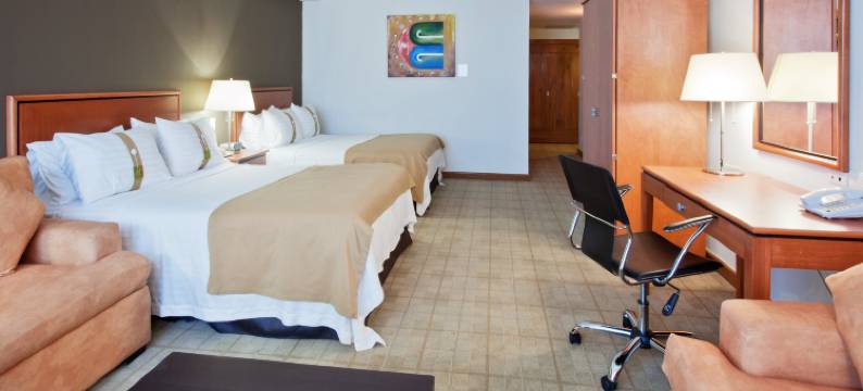 伊拉普阿托假日酒店(Holiday Inn IRAPUATO by IHG)图片