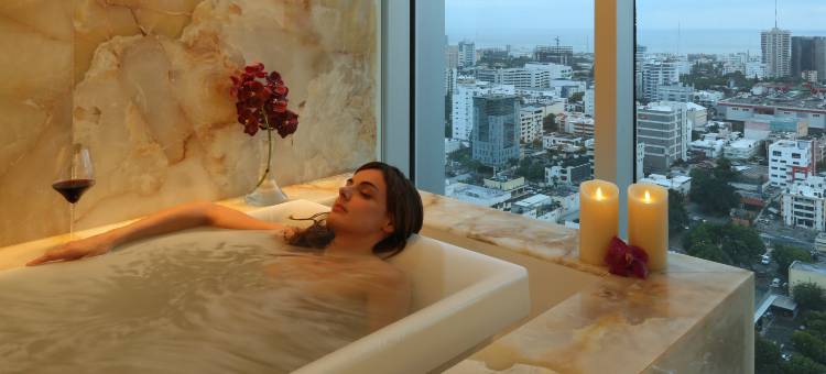 圣多明戈里尔洲际酒店(InterContinental Hotels Real Santo Domingo)图片